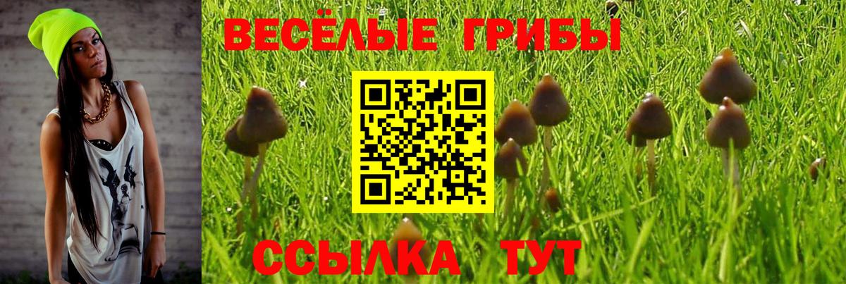Галлюциногенные грибы MAGIC MUSHROOMS  Вход с VPN  продажа наркотиков  Котлас 