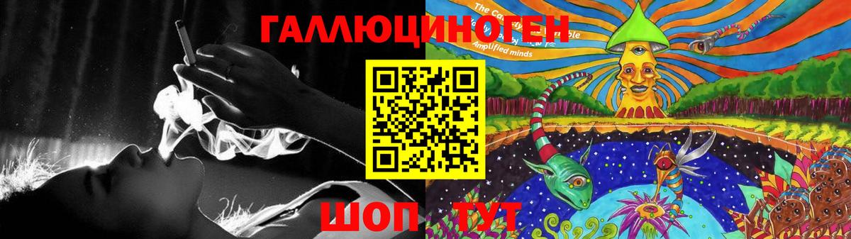 Галлюциногенные грибы Psilocybine cubensis Котлас